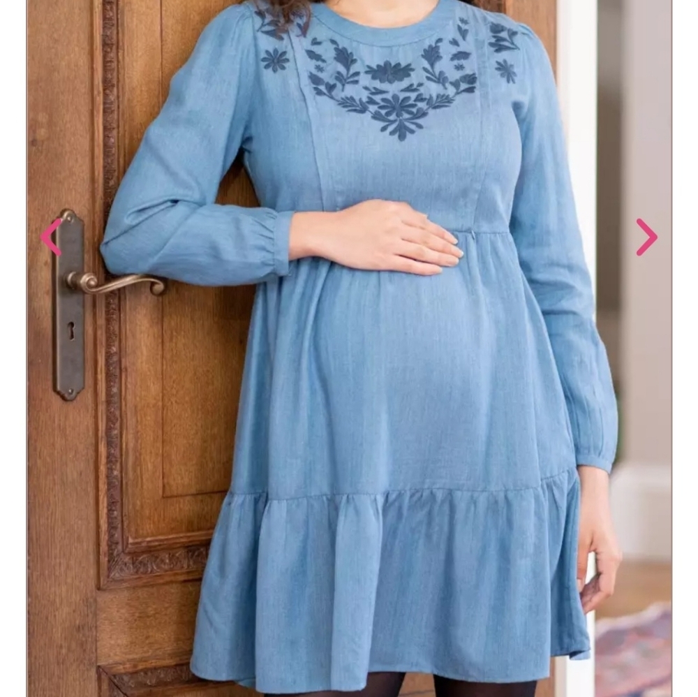 Seraphine Chambray Blue Embroidered Maternity Nursing Mini Dress